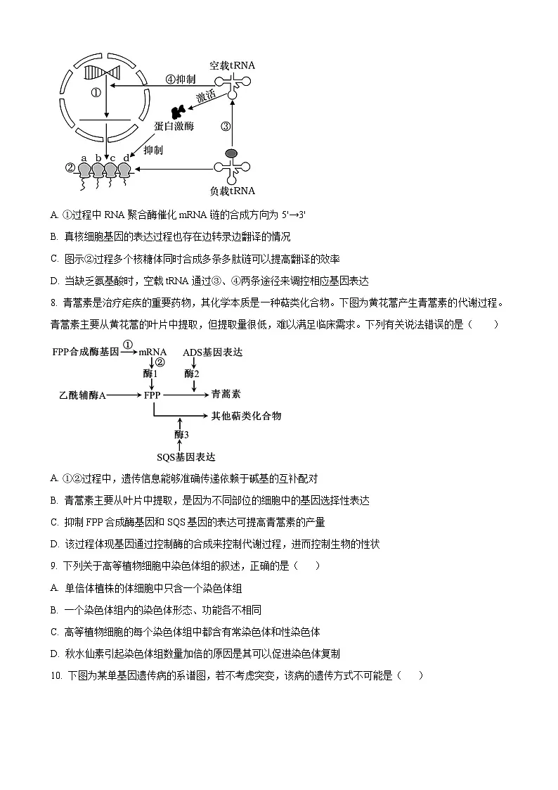 人教版2025-2026学年高一下学期期末模拟考试生物试题02(原卷版)第3页