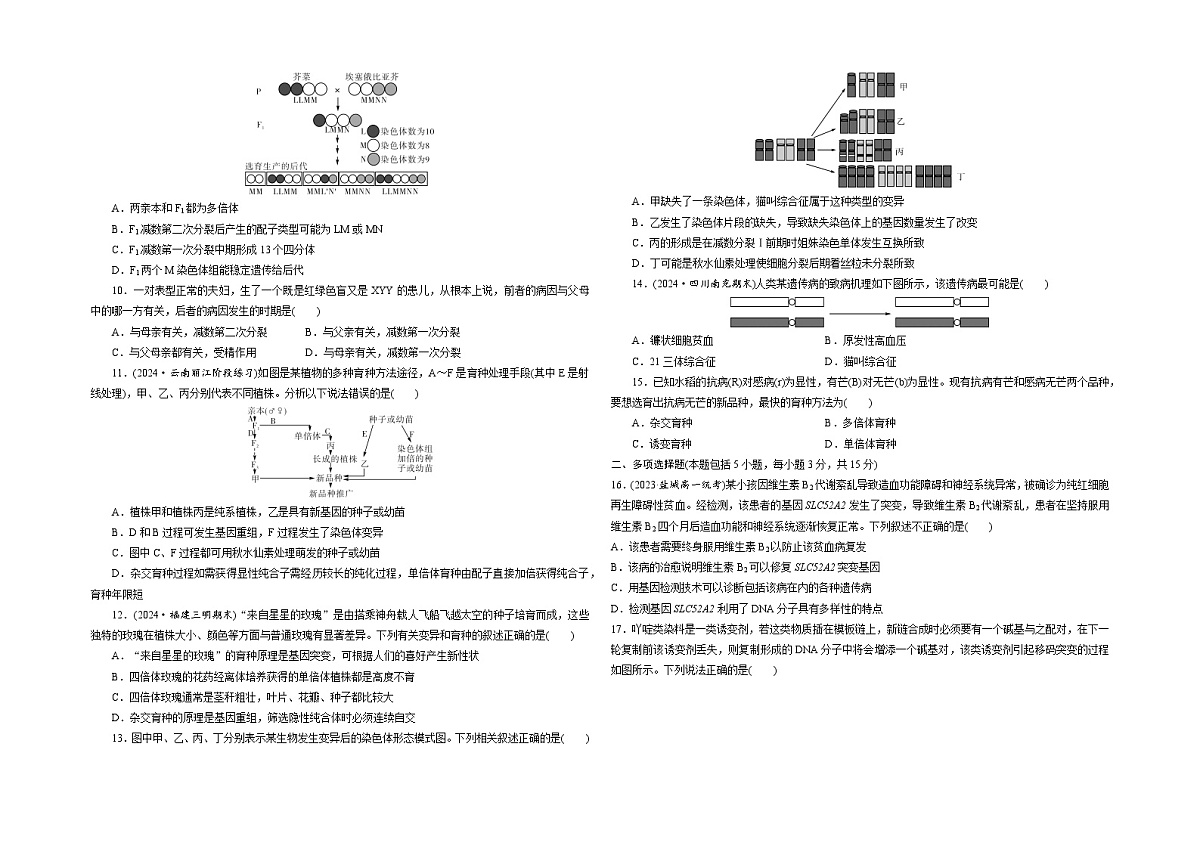 【单元测试卷】人教版高中生物第五章 基因的突变及其他变异单元检测卷(原卷)第2页