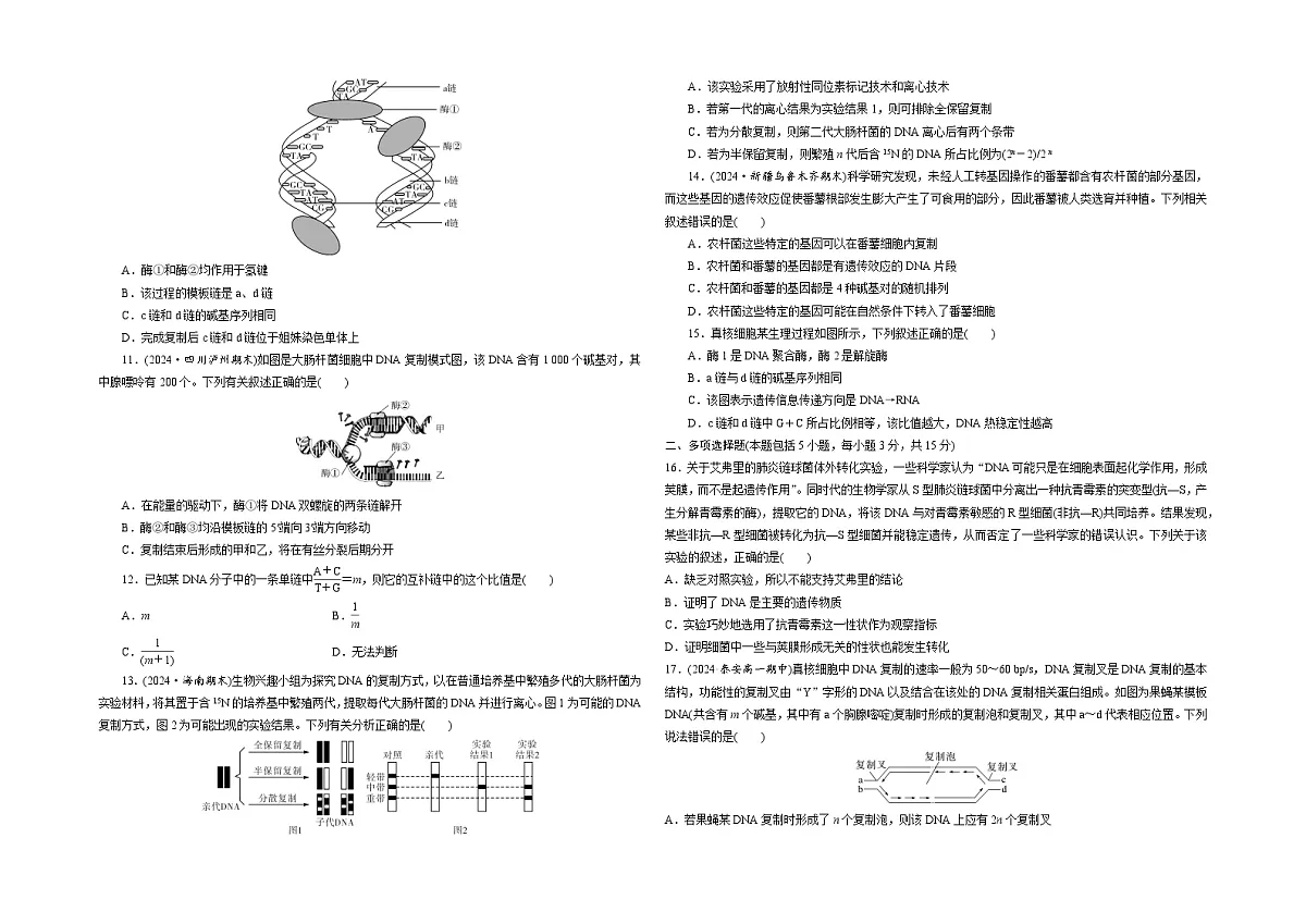 【单元测试卷】人教版高中生物第三章基因的本质单元检测卷(原卷)第2页