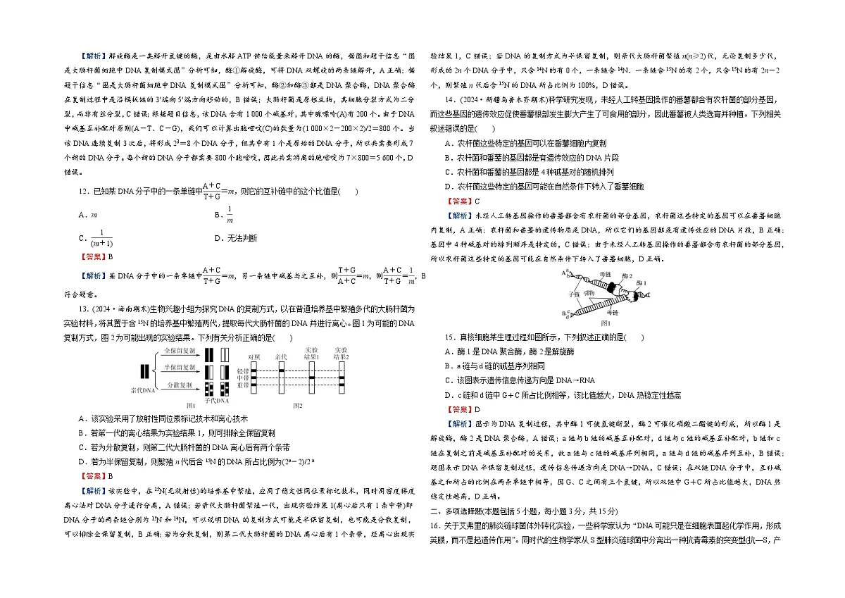 【单元测试卷】人教版高中生物第三章基因的本质单元检测卷(解析)第3页