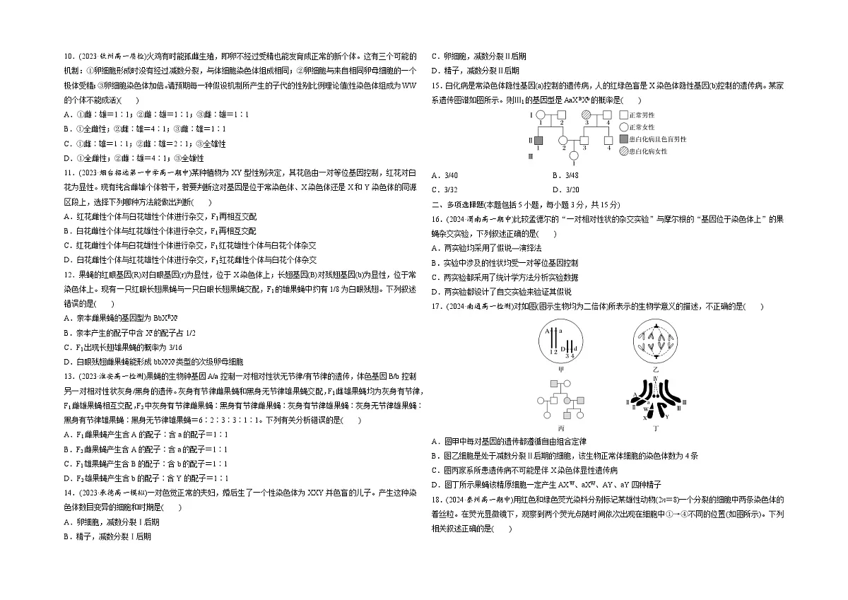 【单元测试卷】人教版高中生物第二章基因和染色体的关系单元检测卷(原卷)第2页