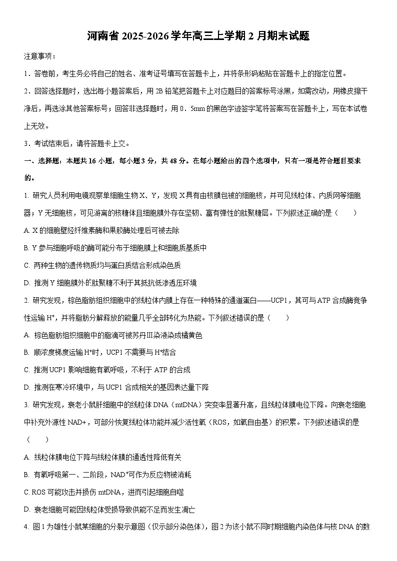 2025-2026学年河南省高三上学期2月期末生物试卷(学生版)第1页