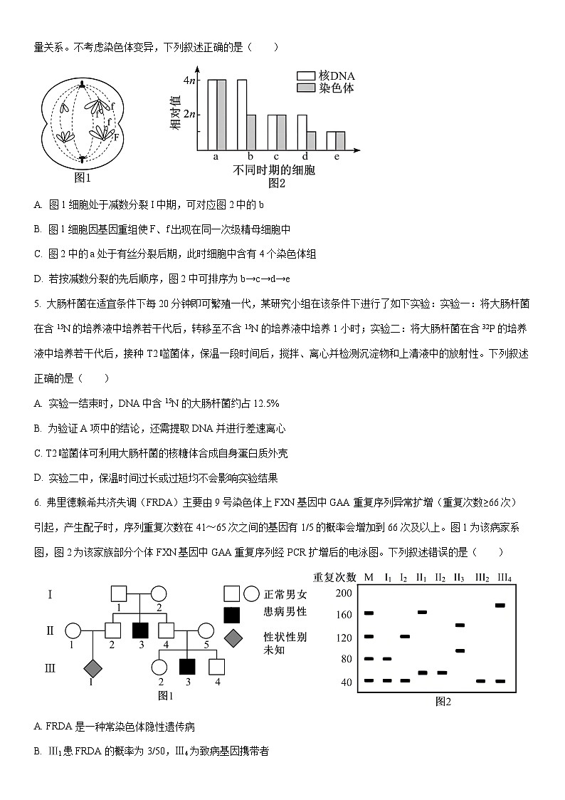 2025-2026学年河南省高三上学期2月期末生物试卷(学生版)第2页