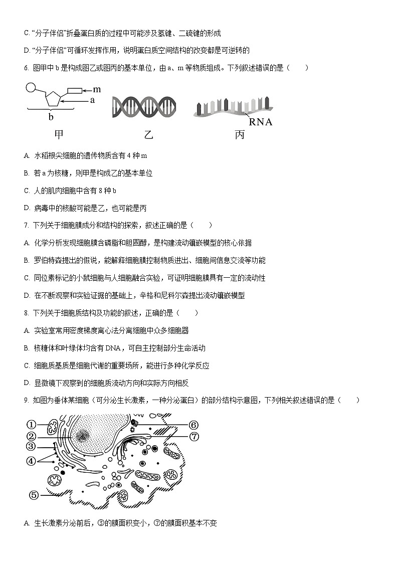 2025-2026学年新疆维吾尔自治区昌吉州高一上学期期末考试生物试卷(学生版)第2页