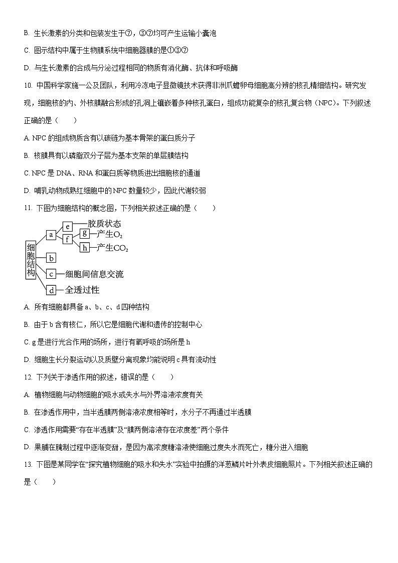 2025-2026学年新疆维吾尔自治区昌吉州高一上学期期末考试生物试卷(学生版)第3页