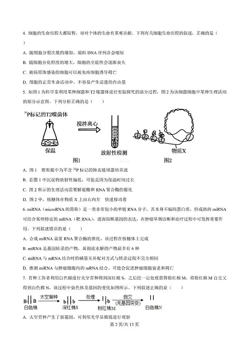 吉林省白山市2026届高三上学期一模考试生物试卷(含答案)第3页