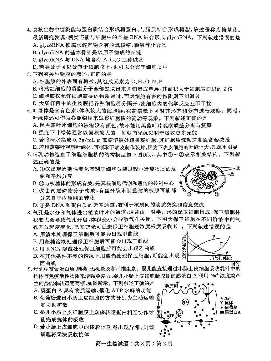 山东聊城市2025-2026学年度第一学期期末教学质量抽测高一生物试题第2页