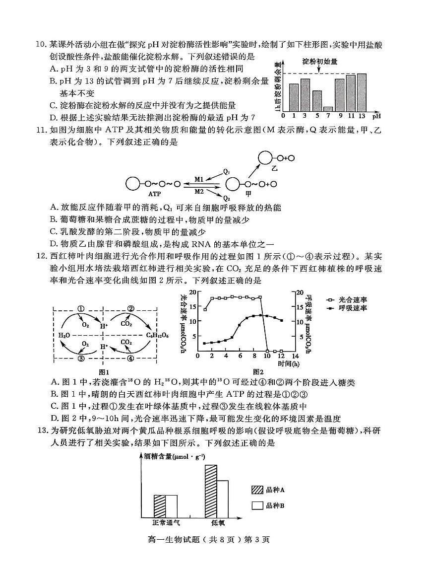 山东聊城市2025-2026学年度第一学期期末教学质量抽测高一生物试题第3页