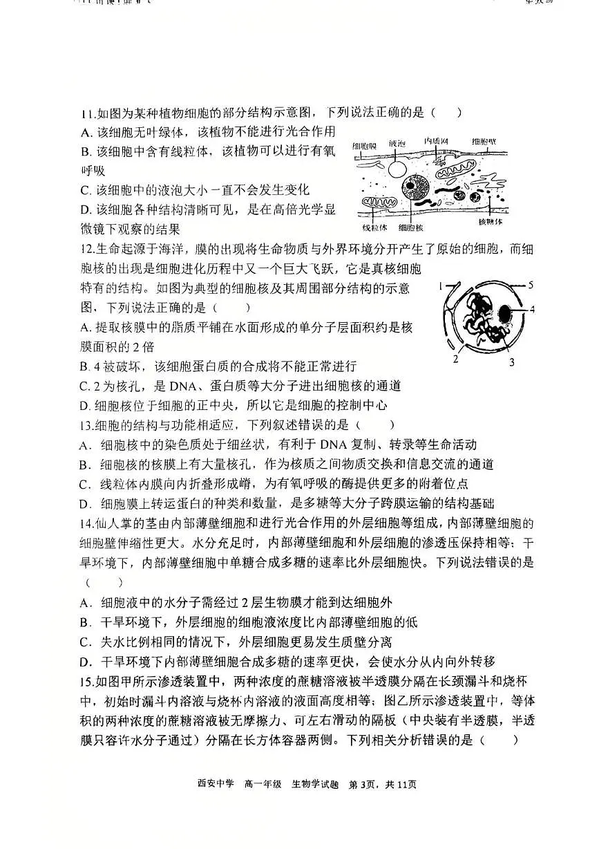 陕西西安中学2025-2026学年度第一学期期末考试高一生物学试题第3页