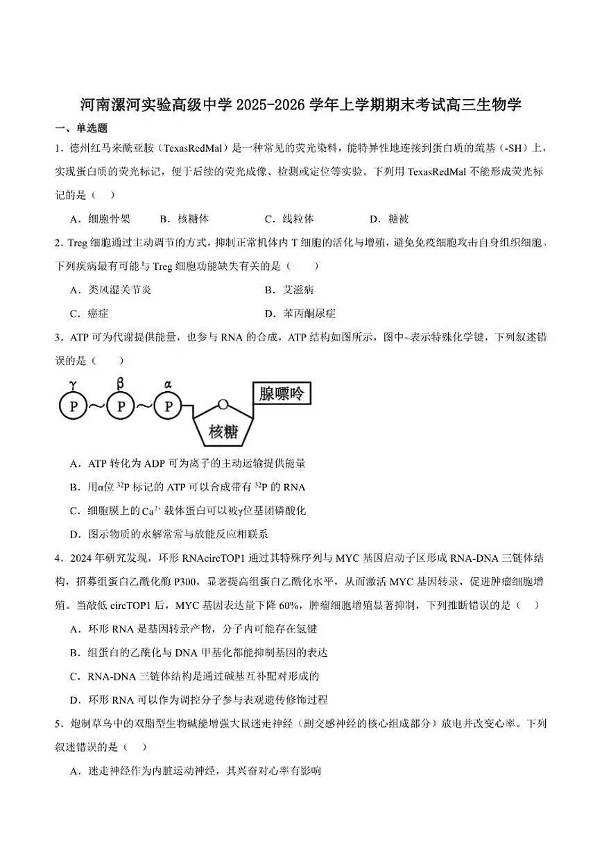 2026届河南省漯河实验高级中学高三上学期期末考试生物试卷(含答案)第1页
