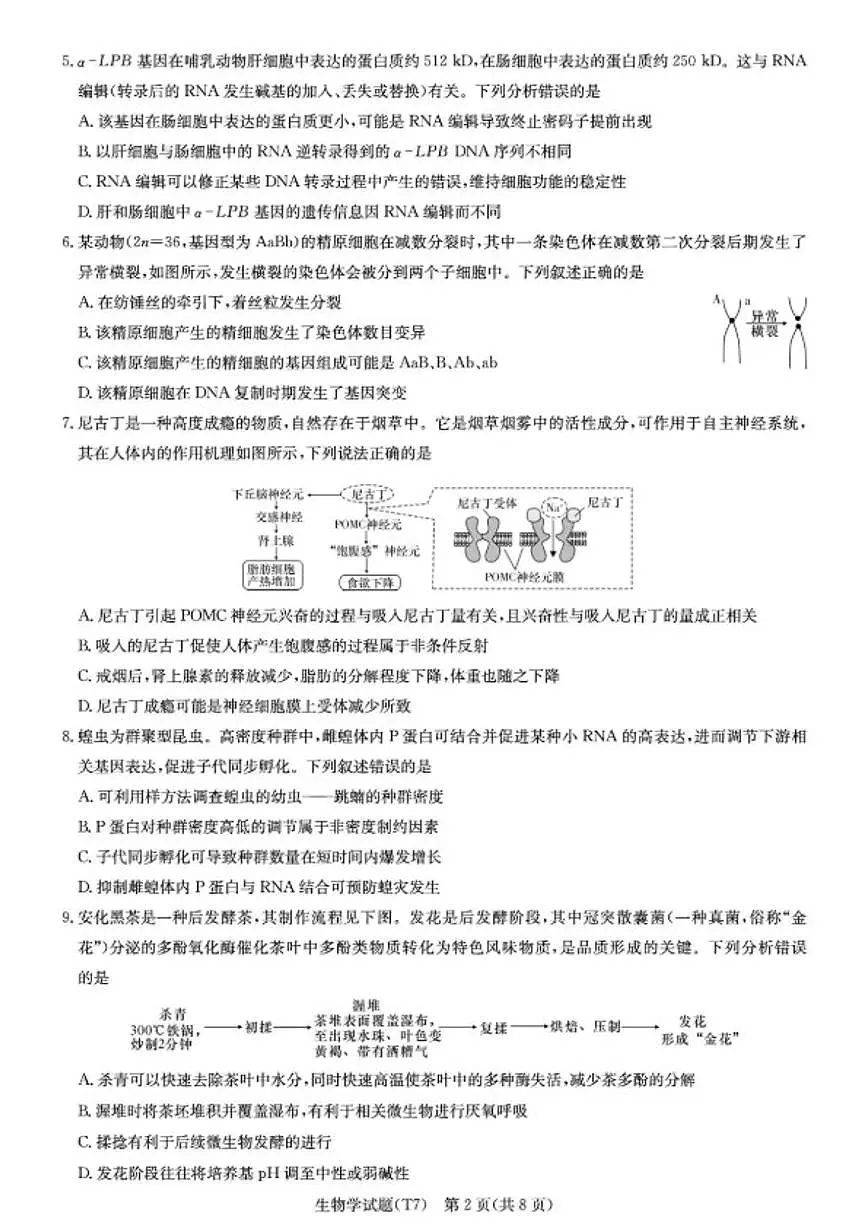 2026届湖南师大附中高三上月考(七)生物学试卷(含解析)第2页