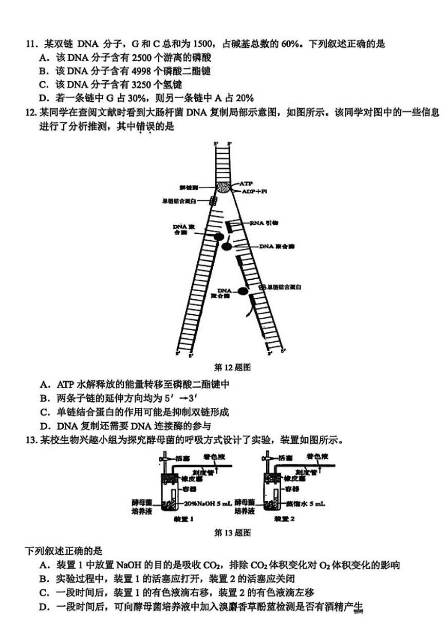 2026届浙江省高三上2月返校考生物学试卷(含答案)第3页
