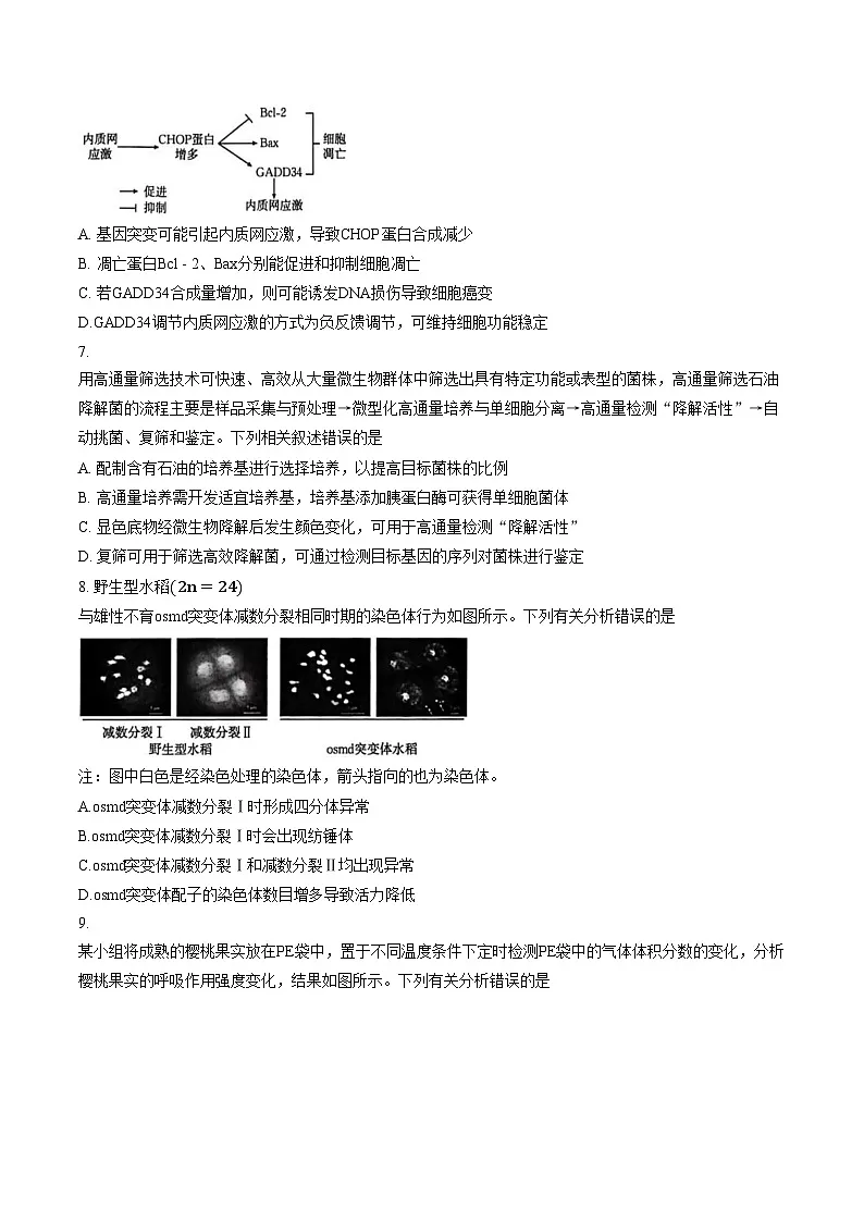 河南省部分学校2025_2026学年高三上学期第四次联考生物学试卷(PDF版,含答案)第3页