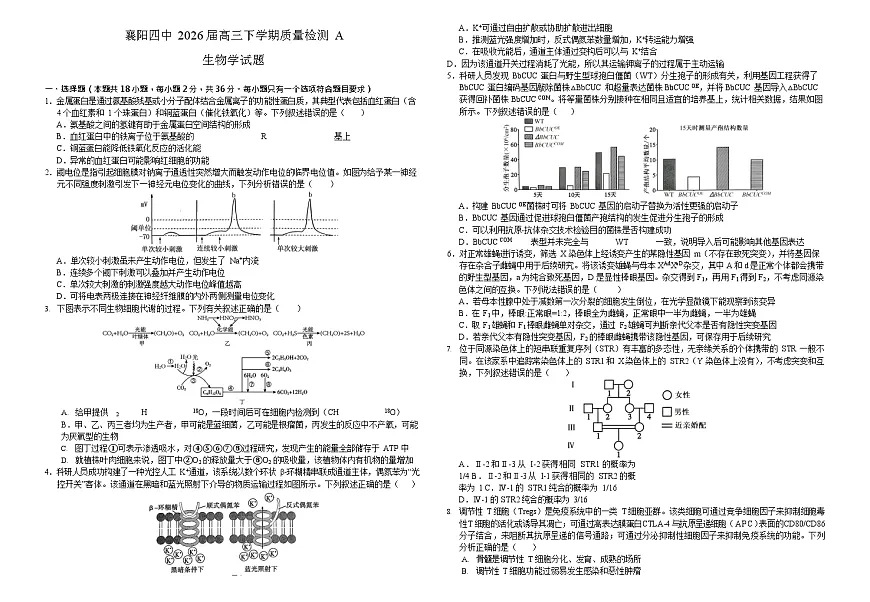 襄阳四中2026届高三下学期质量检测 生物试卷+答案第1页
