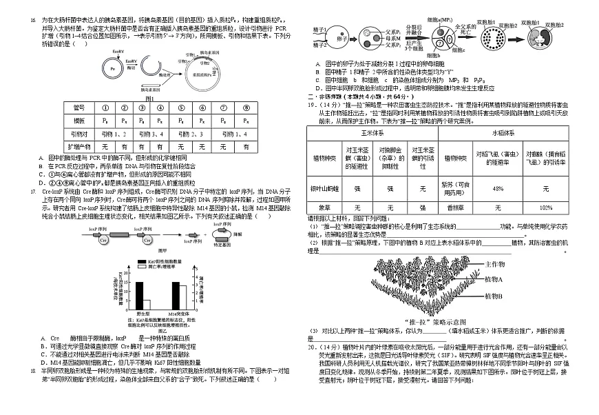 襄阳四中2026届高三下学期质量检测 生物试卷+答案第3页