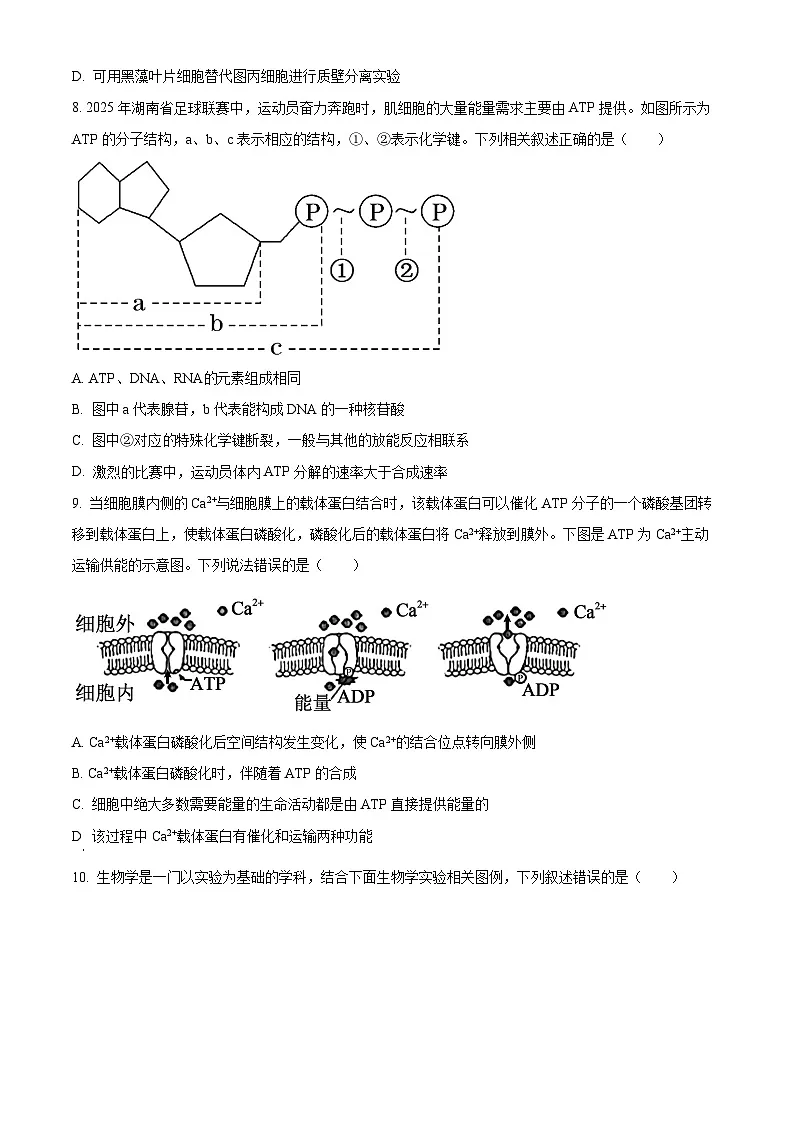 湖南省郴州市2025-2026学年高一上学期期末生物学试题 Word版无答案第3页