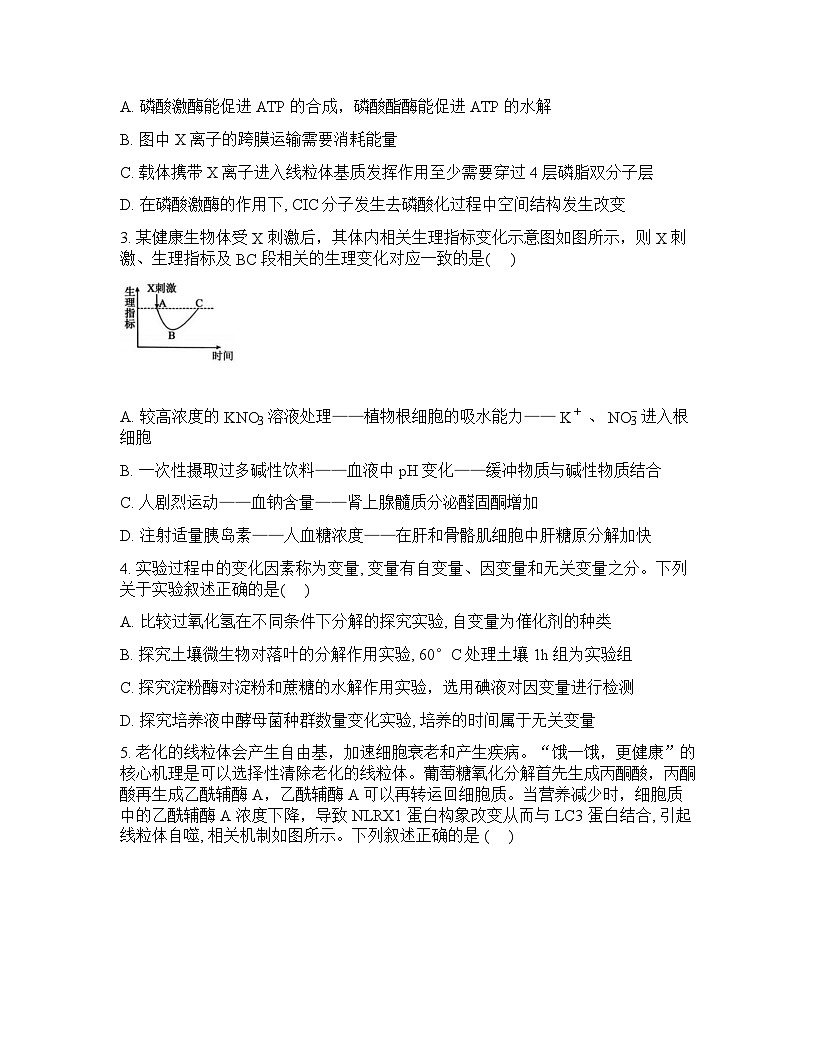 重庆育才中学2025-2026学年下学期高三开学考试生物试卷无答案第2页