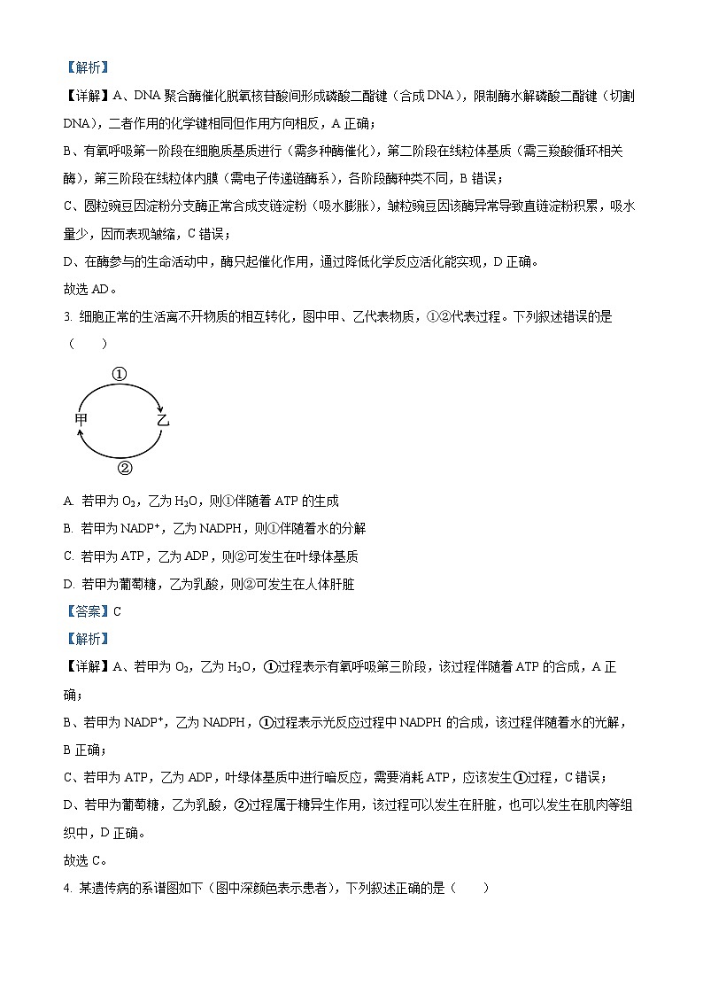 2026届湖南岳阳市高三年级教学质量监测(一) 生物学试卷 Word版含解析第2页