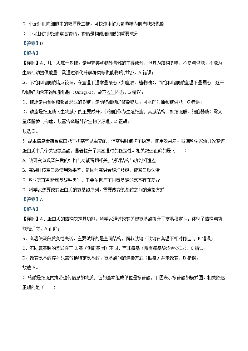 湖北随州市2025—2026学年高一上学期期末考试生物试题 Word版含解析第3页