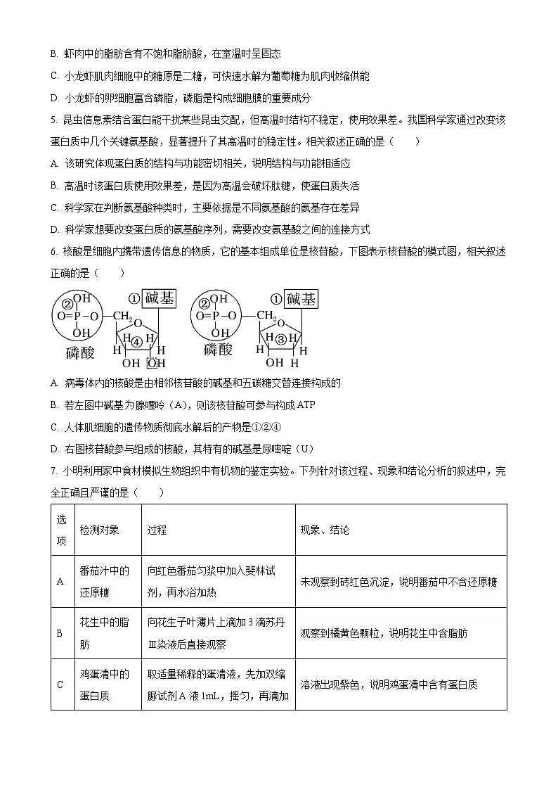 湖北随州市2025—2026学年高一上学期期末考试生物试题 Word版无答案第2页