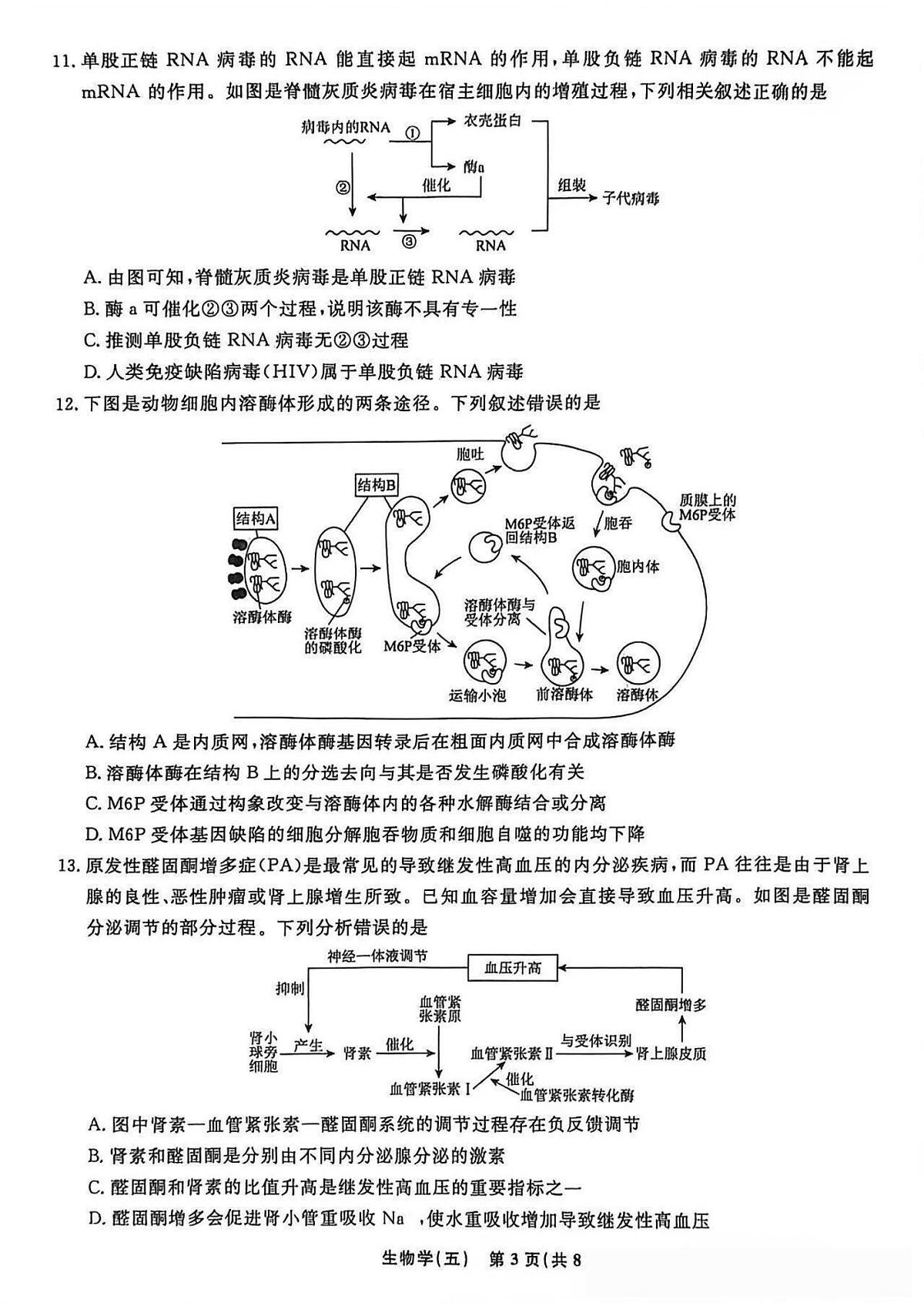生物-辽宁名校联盟2026届高三下学期高考调研卷试卷及答案(五)第3页