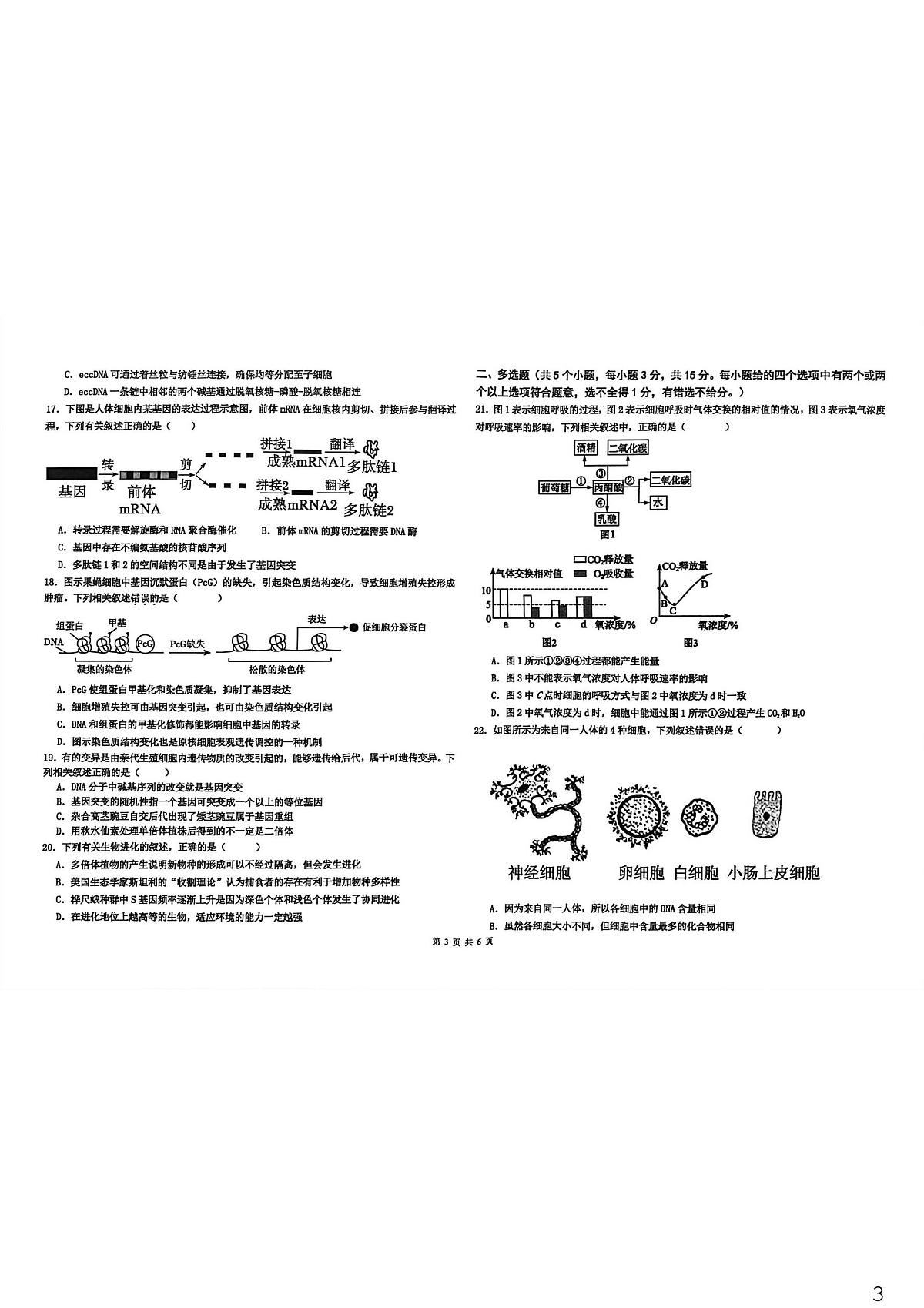 河北省衡水市冀州区河北冀州中学2025-2026学年高三上学期2月月考生物试题(期末)第3页