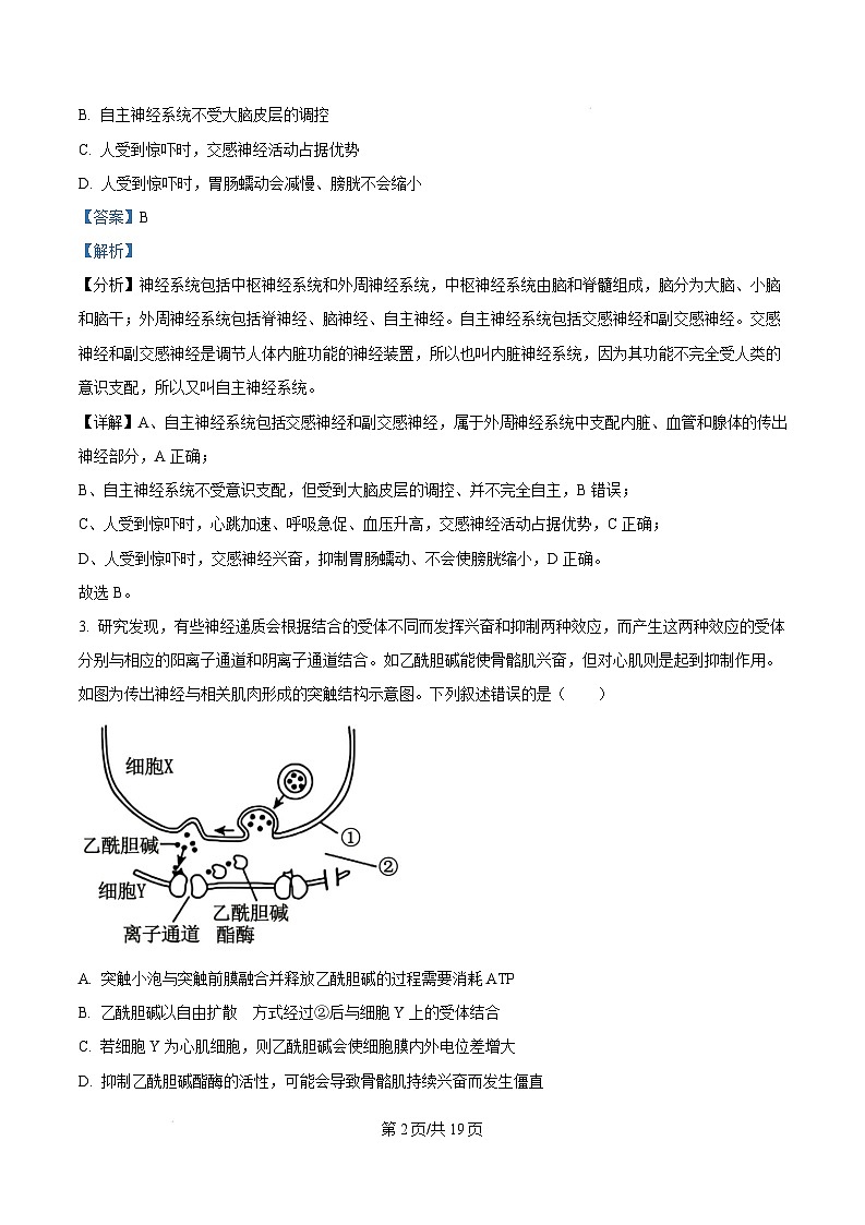 河南省周口市2024-2025学年高二上学期1月期末生物试题 Word版含解析第2页