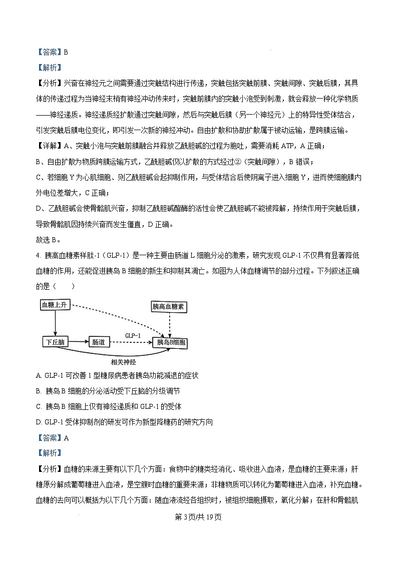 河南省周口市2024-2025学年高二上学期1月期末生物试题 Word版含解析第3页