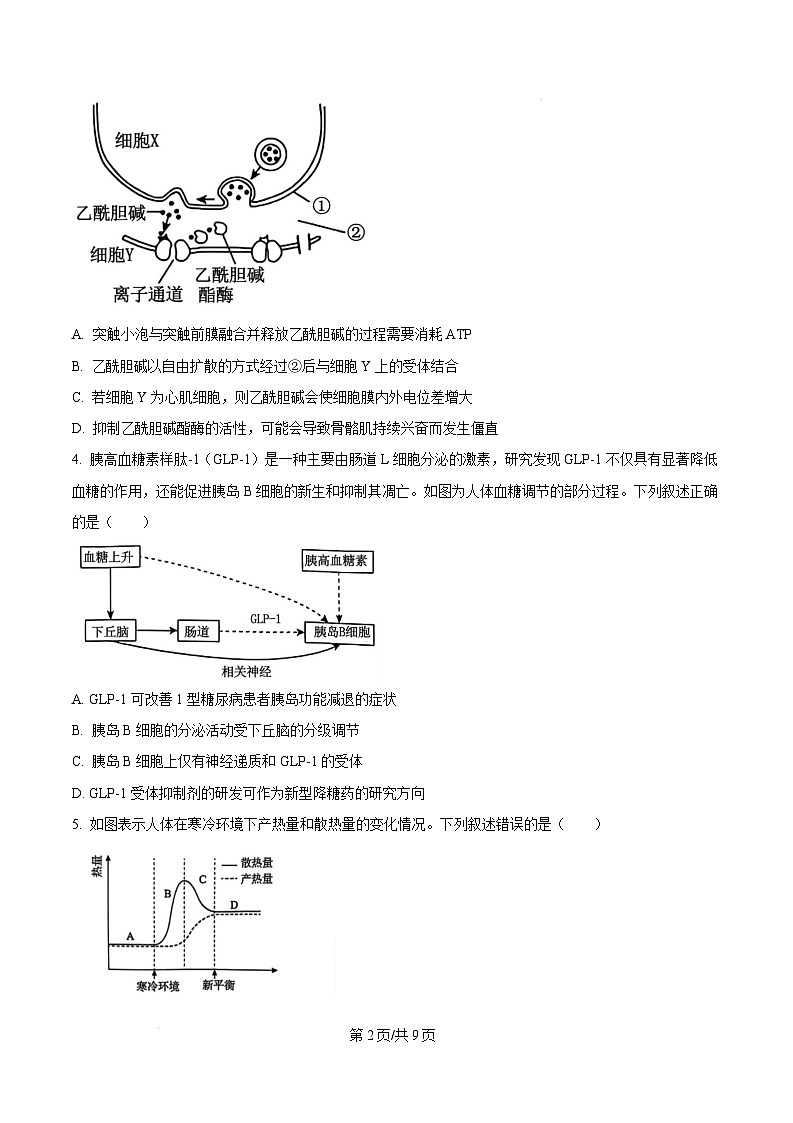 河南省周口市2024-2025学年高二上学期1月期末生物试题 Word版无答案第2页
