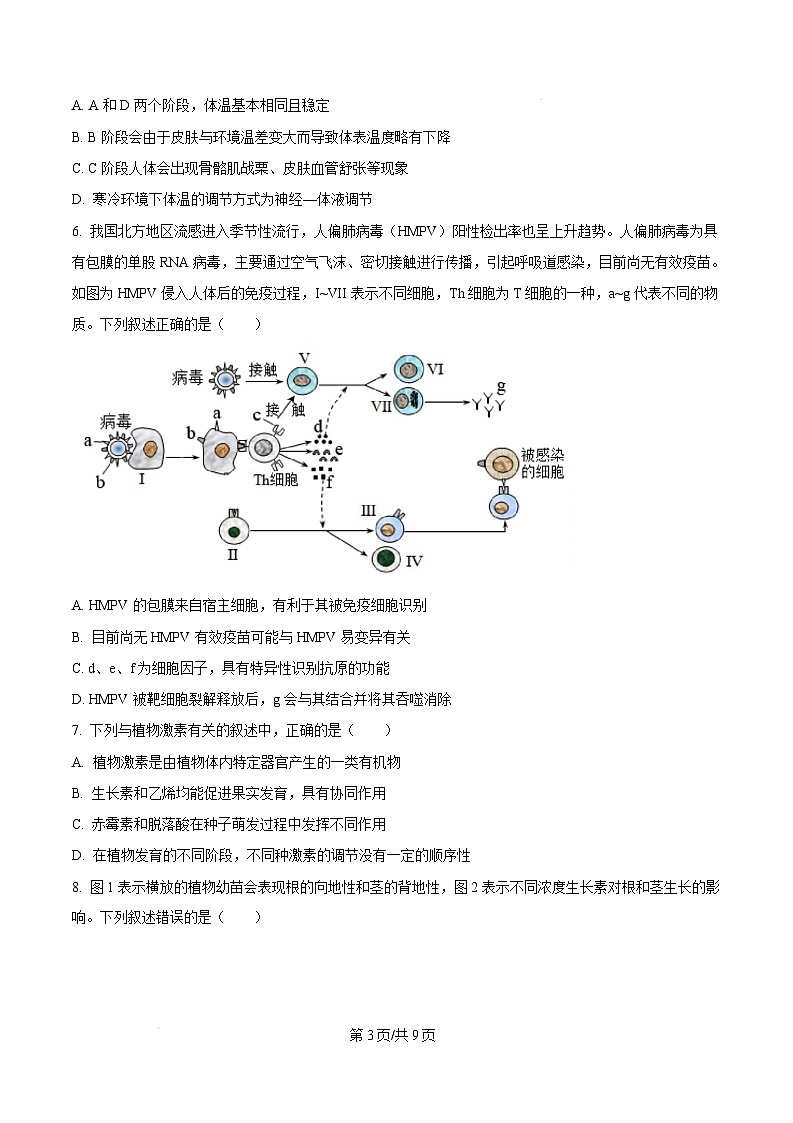 河南省周口市2024-2025学年高二上学期1月期末生物试题 Word版无答案第3页