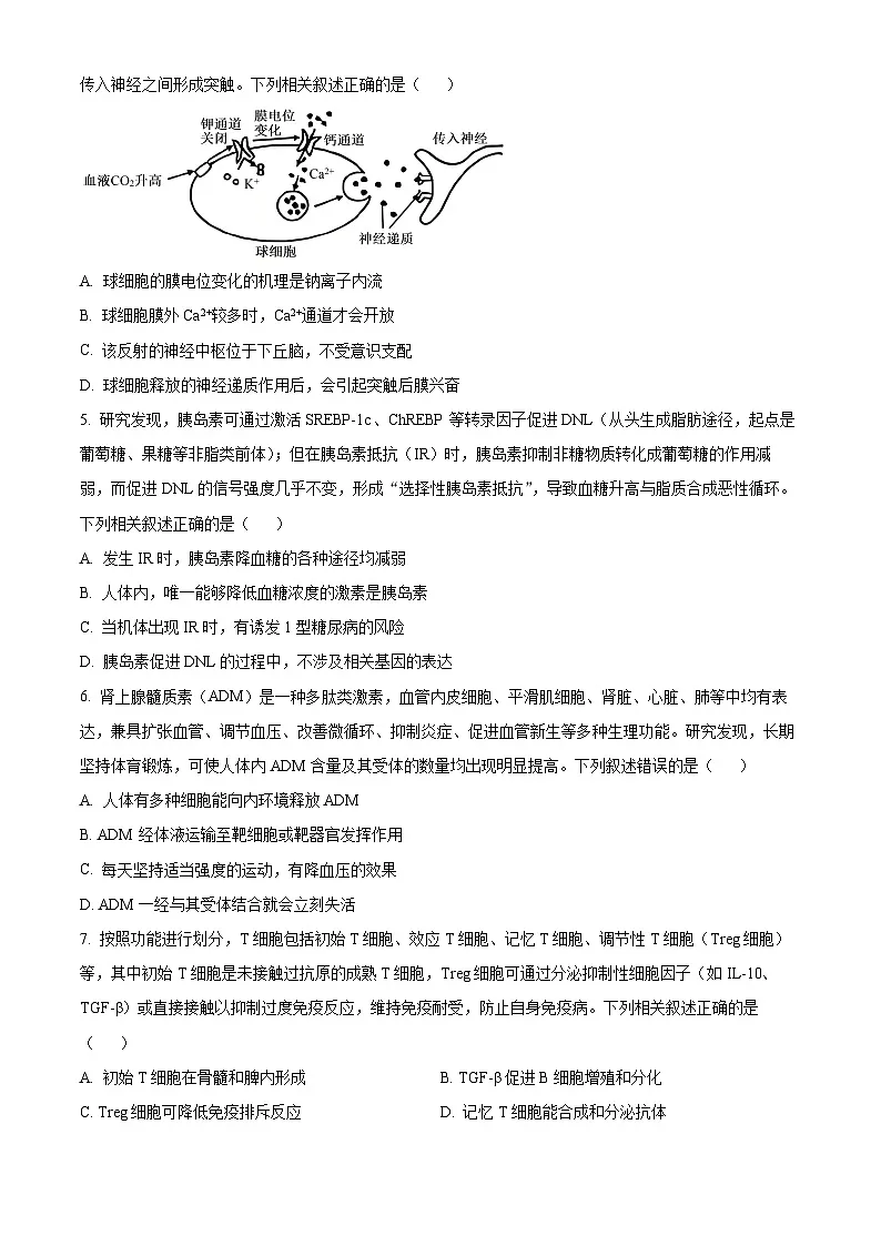 安徽宿州市2025-2026学年高二上学期2月初期末质量检测生物学试题A(试卷+解析)第2页