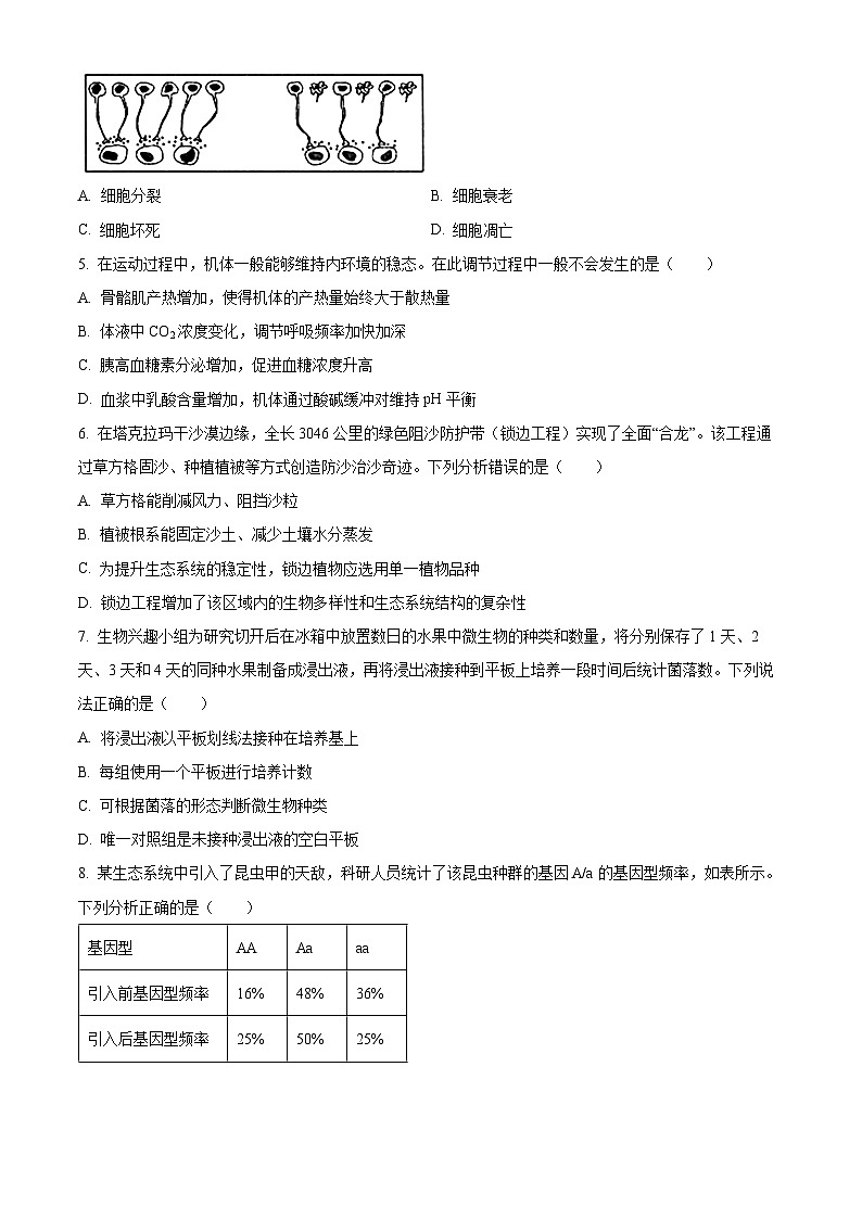 贵州省黔东南州2025一2026学年度第一学期高三期末检测生物学试卷(试卷+解析)第2页