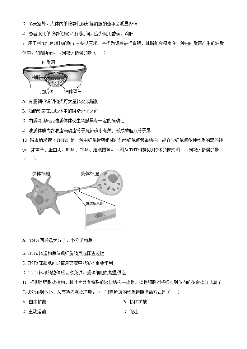 广东茂名市2025-2026学年第一学期教学质量监测 高一生物学上学期期末(试卷+解析)第3页