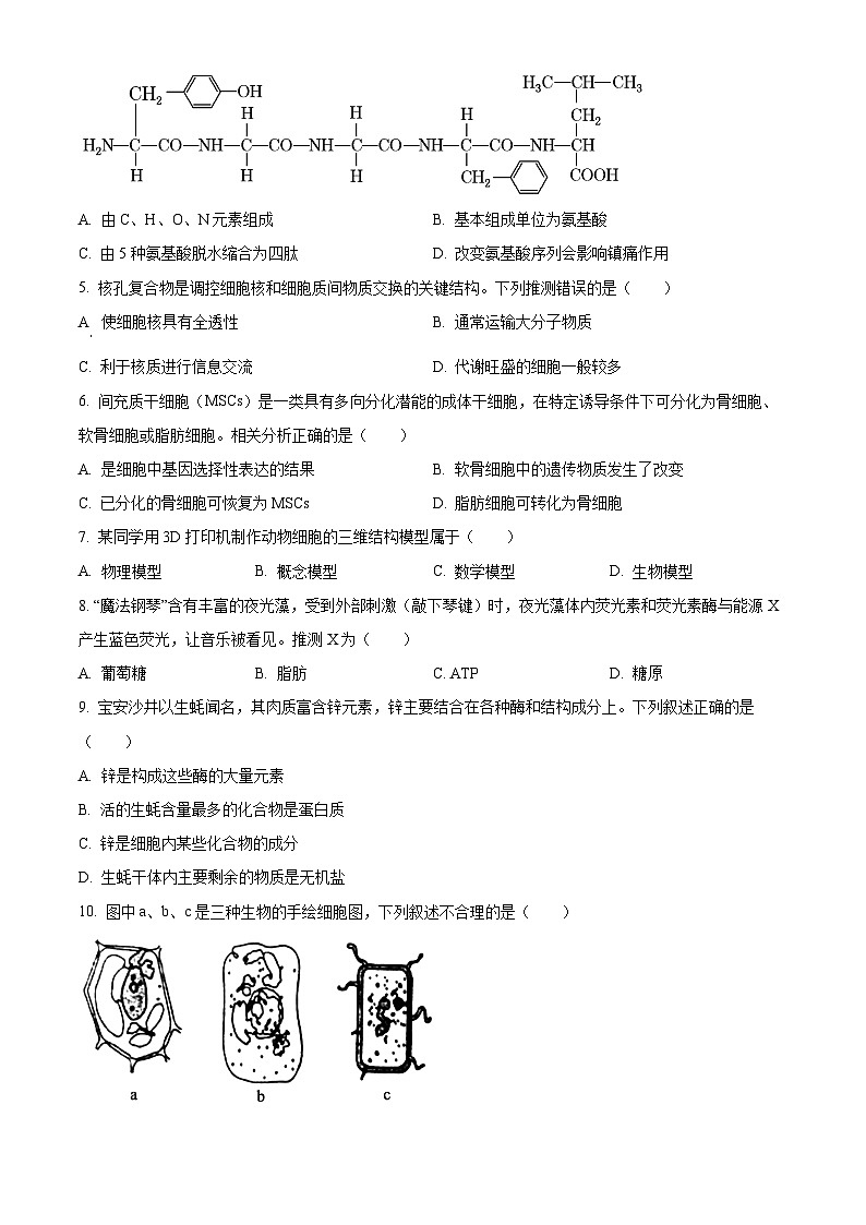 广东深圳市2025-2026学年第一学期期末教学质量检测高一生物学(试卷+解析)第2页