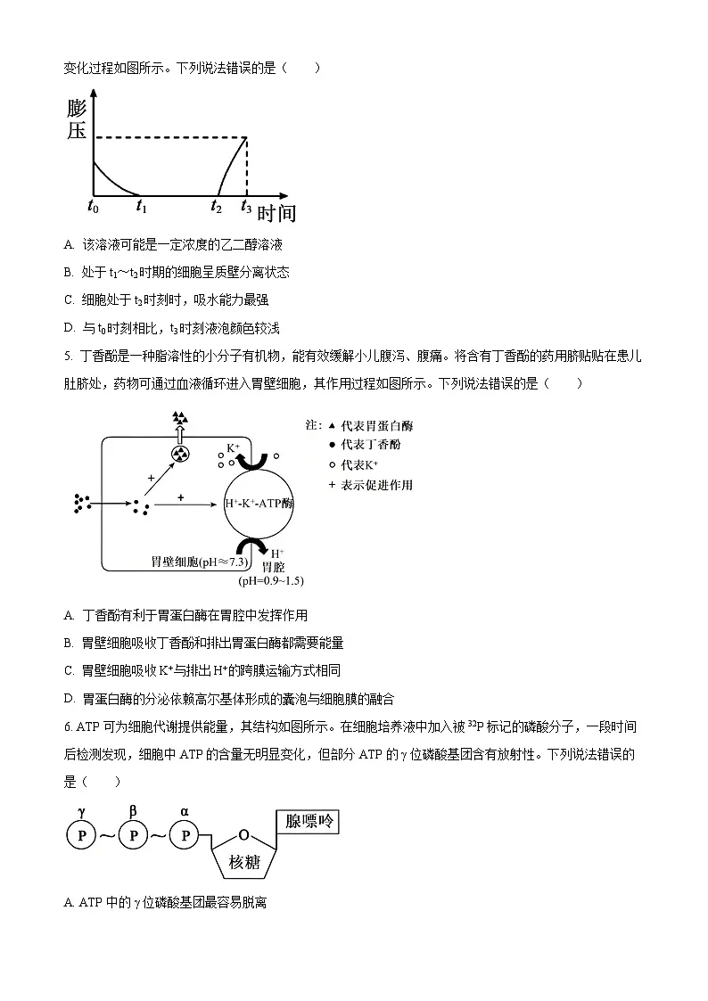 山东德州市2025-2026学年高一上学期期末考试生物试题(试卷+解析)第2页