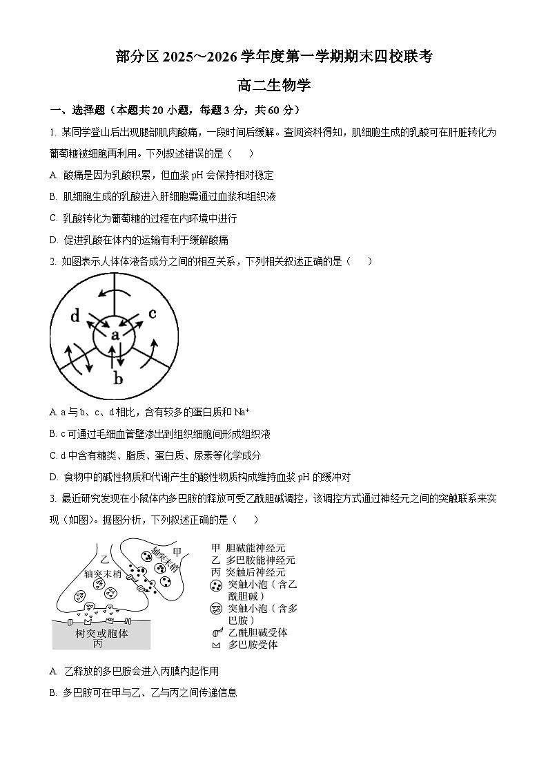 天津市部分区2025-2026学年度第一学期期末高二生物学(试卷+解析)第1页