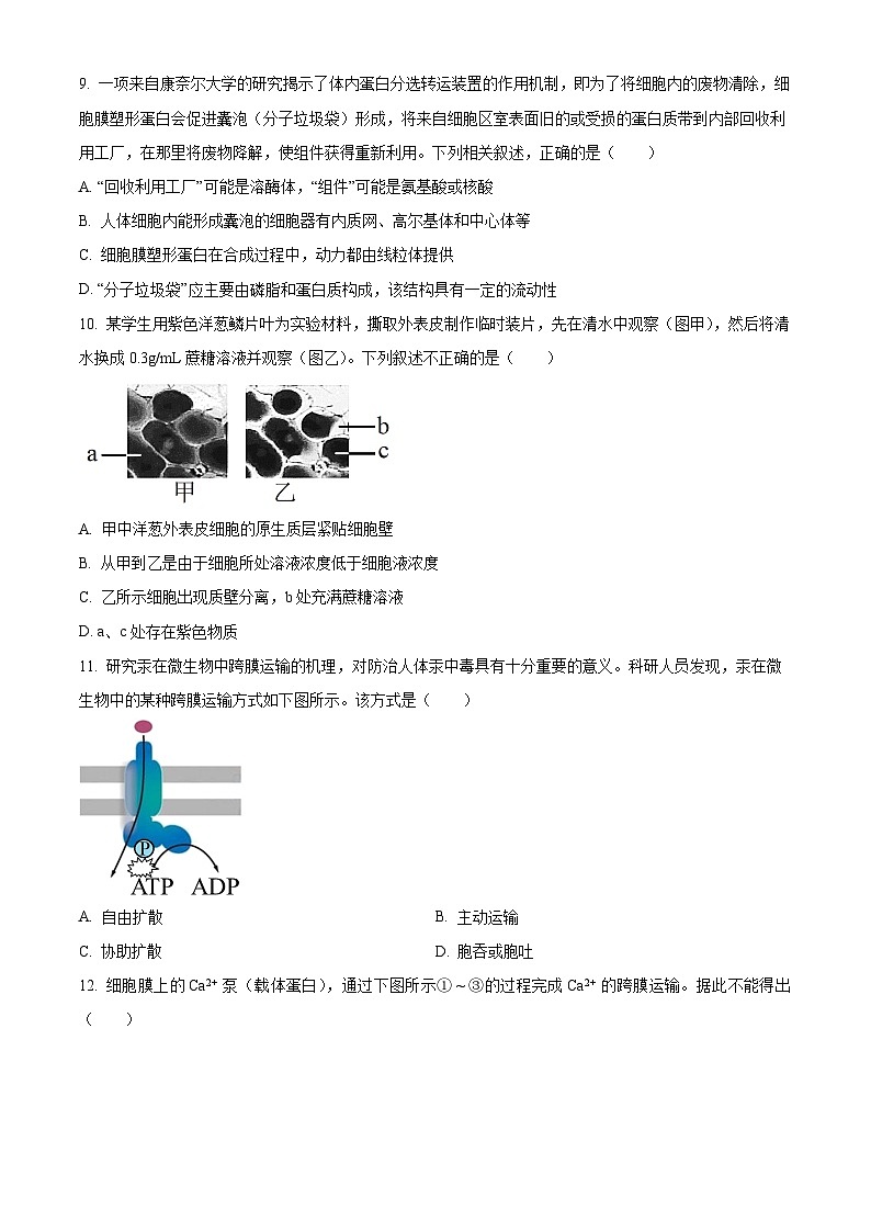 天津市南开区2025-2026学年第一学期期末试卷+高一年级生物学(试卷+解析)第3页