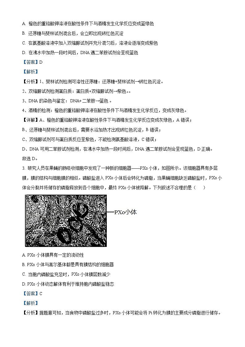 湖北省部分学校2024-2025学年高三上学期12月联考生物试题 含解析第2页
