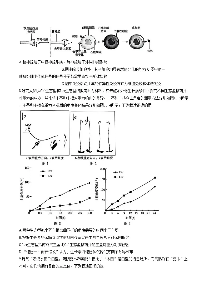 河南焦作市普通高中2025_2026学年上学期高二年级期末考试 生物试卷(A卷)(文字版,含答案)第3页
