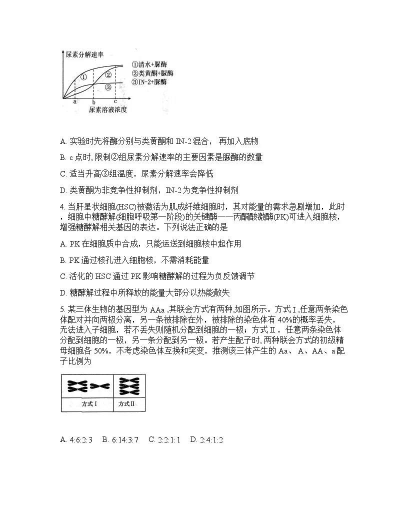 山东省烟台市2026年高三高考一模生物试卷含答案第2页