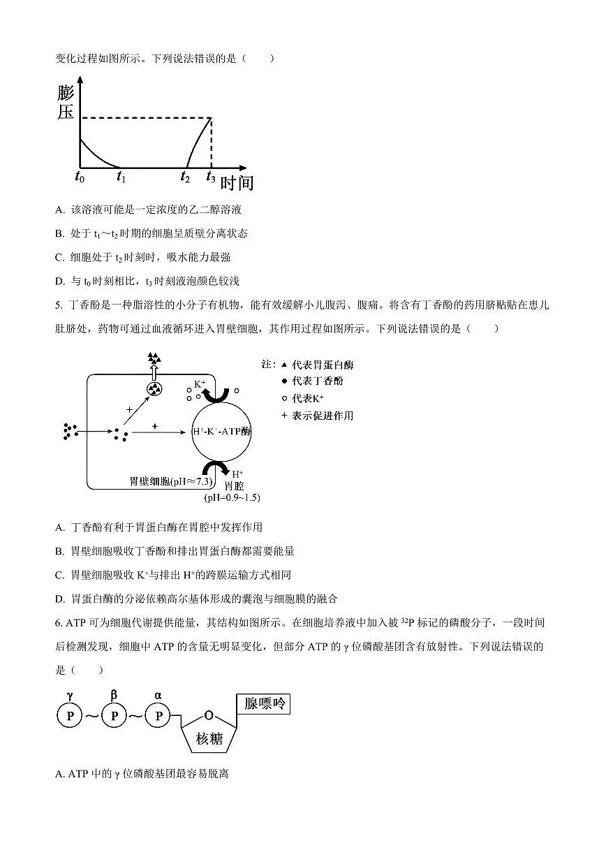 山东德州市2025-2026学年高一上学期期末考试生物试题(试卷+解析)第2页