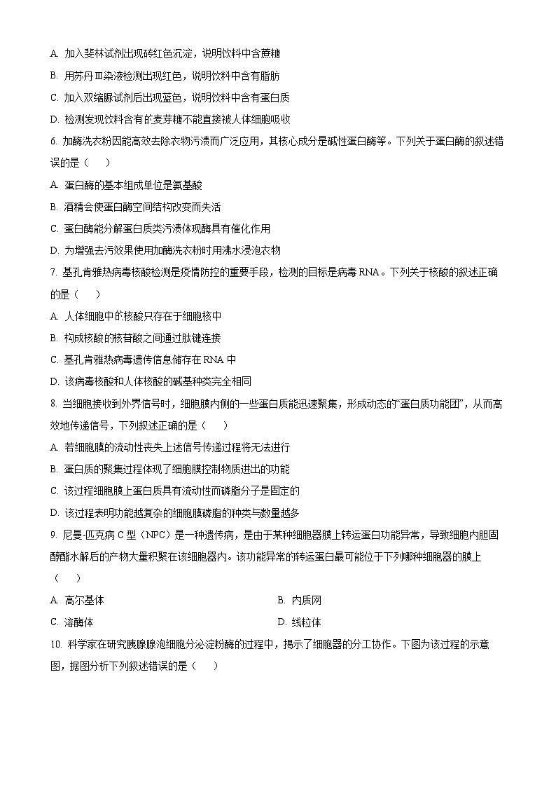 广东省广州市番禺区2025-2026学年第一学期高一年级期末教学质量监测 生物学试题(试卷+解析)第2页