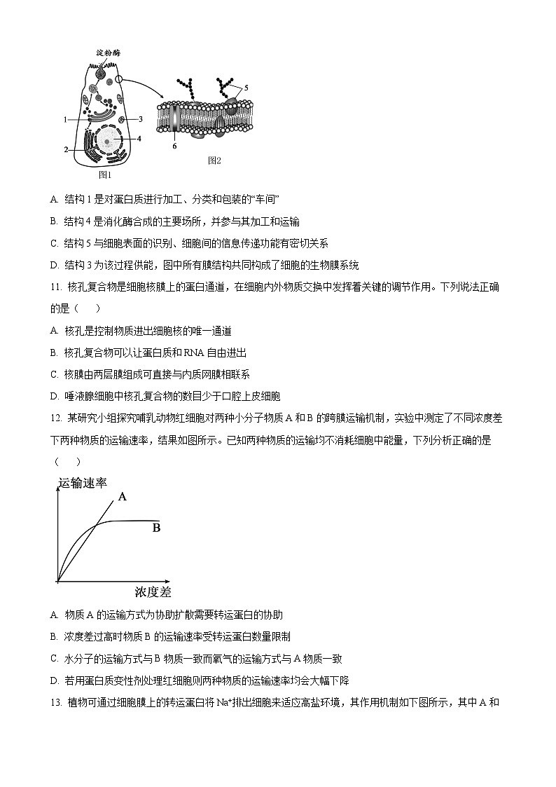 广东省广州市番禺区2025-2026学年第一学期高一年级期末教学质量监测 生物学试题(试卷+解析)第3页