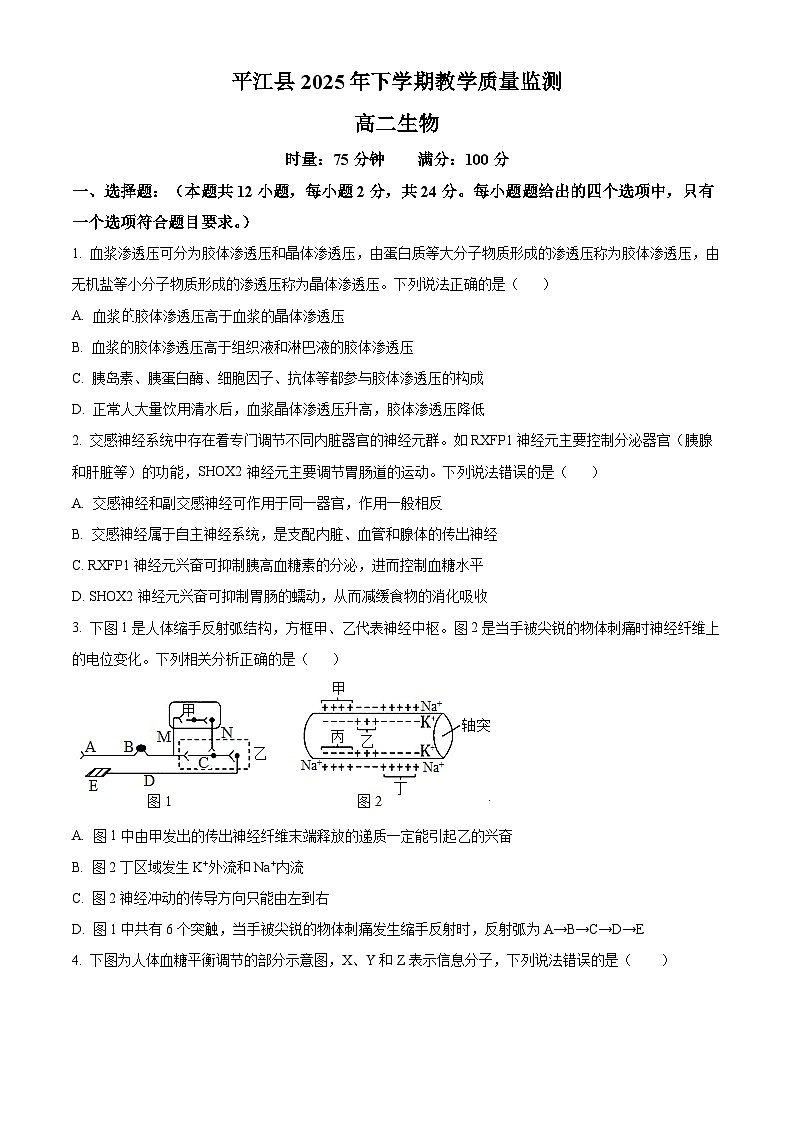 湖南岳阳市平江县2025-2026学年上学期期末高二生物试题(试卷+解析)第1页