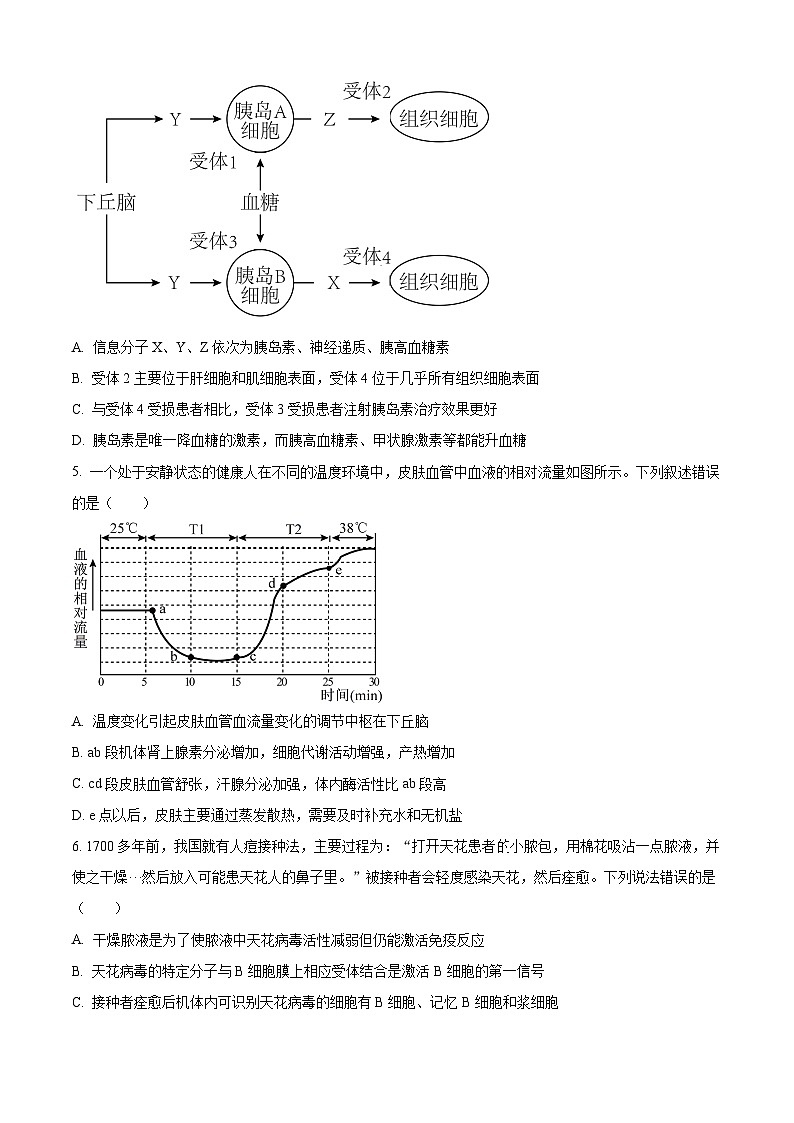湖南岳阳市平江县2025-2026学年上学期期末高二生物试题(试卷+解析)第2页