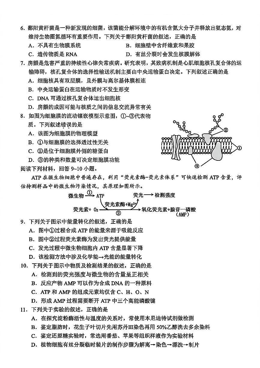 生物第2页