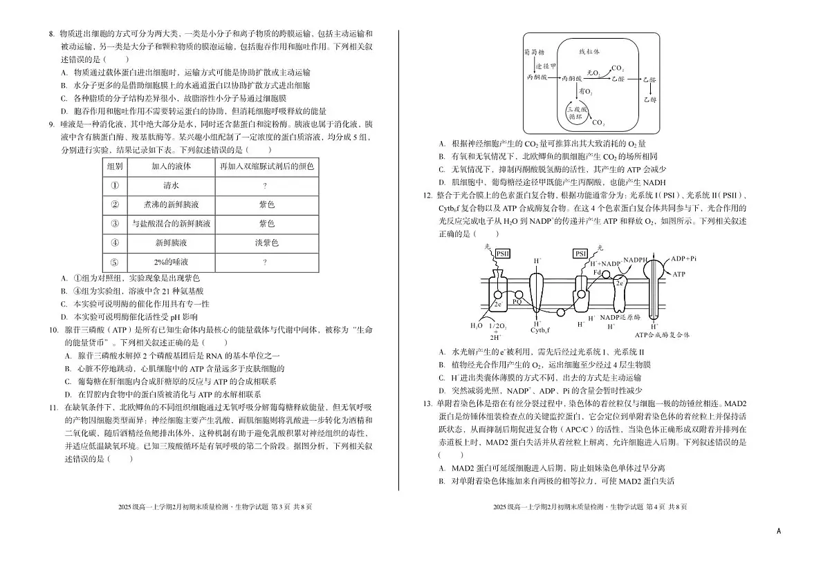 2025级高一上学期2月初期末质量检测 生物A第2页