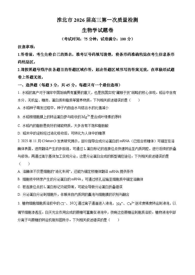 淮北市2026届高三上学期第一次质量检测生物学试题(原卷版)第1页