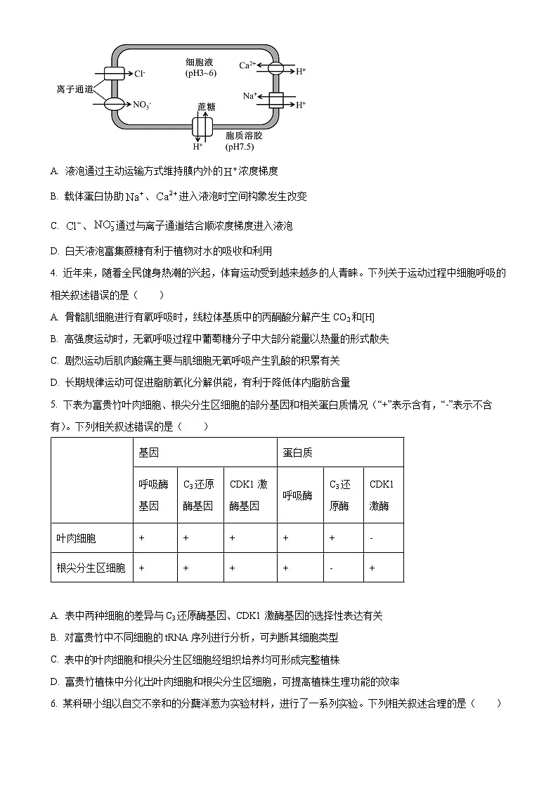 淮北市2026届高三上学期第一次质量检测生物学试题(原卷版)第2页