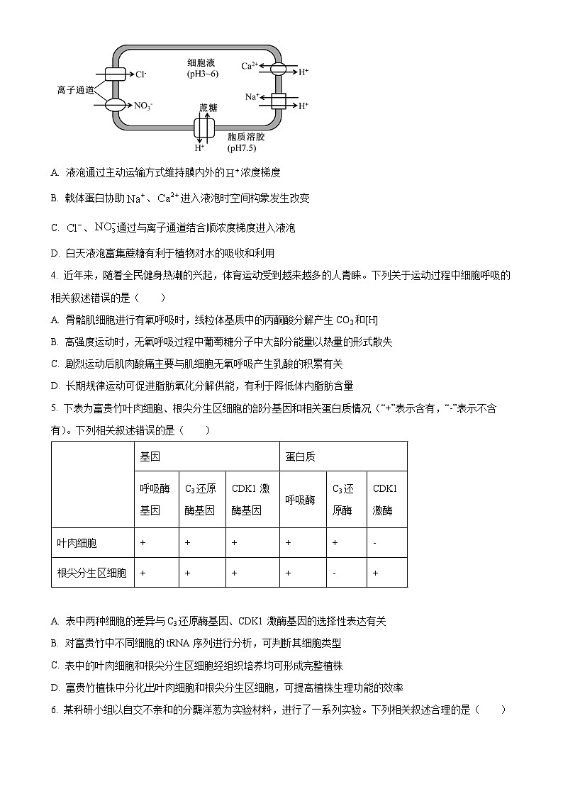 淮北市2026届高三上学期第一次质量检测生物学试题(原卷版)第2页